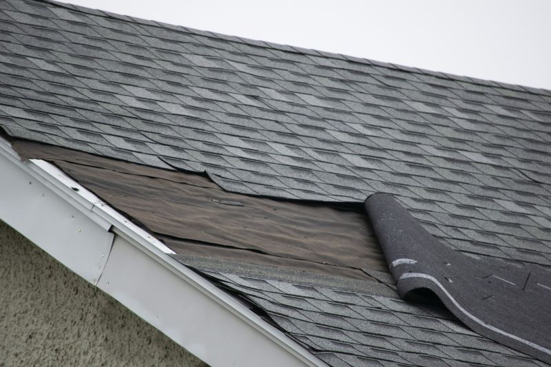 Roof Repair Services